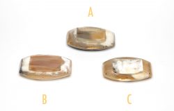 Tabatières en corne