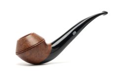 Bent Rhodesian Volute 4